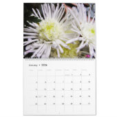 Kalender der Blumen (Jan 2026)