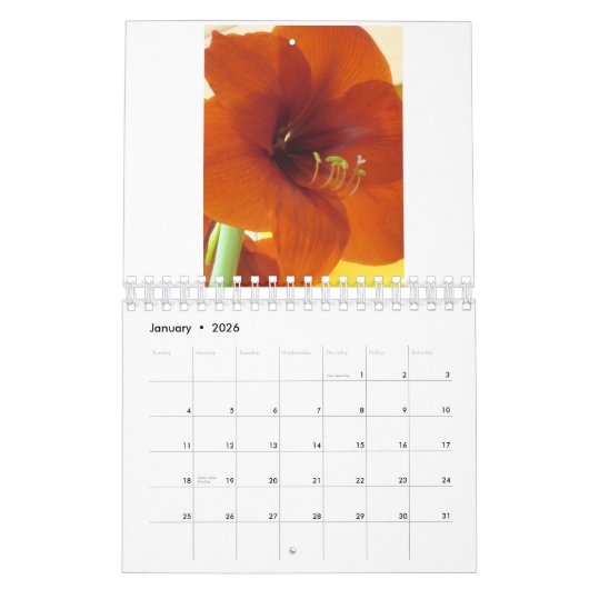 Kalender der Blumen-2013 (Jan 2026)