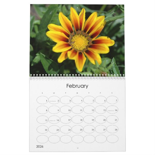 Kalender der Blumenexplosion 2024 (Feb 2026)