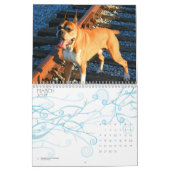 Kalender der Boxer-2011 (Mär 2027)