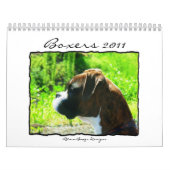 Kalender der Boxer-2011 (Titelbild)