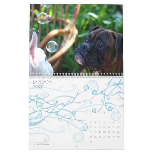 Kalender der Boxer-2011 (Jan 2027)