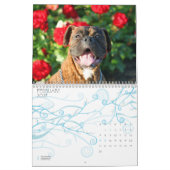 Kalender der Boxer-2011 (Feb 2027)