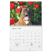 Kalender der Boxer-2012 (Feb 2026)