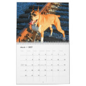 Kalender der Boxer-2013 (Mär 2027)