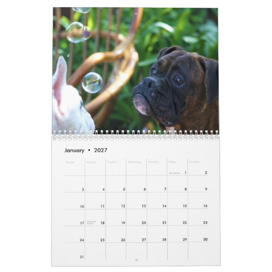 Kalender der Boxer-2013 (Jan 2027)