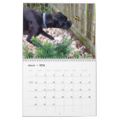 KALENDER DER BOXER-2018 (Mär 2026)