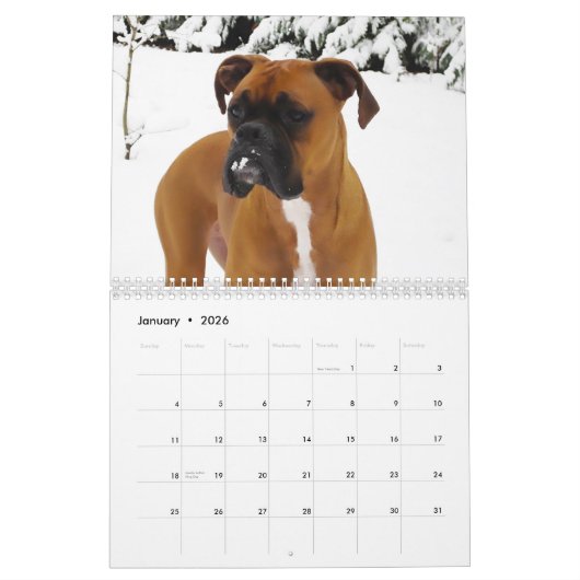 KALENDER DER BOXER-2018 (Jan 2026)