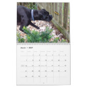 KALENDER DER BOXER-2018 (Mär 2027)