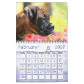Kalender der Boxer-Welpen-2010 (Feb 2027)