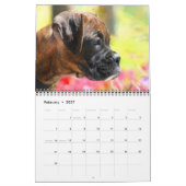 Kalender der Boxer-Welpen-2012 (Feb 2027)