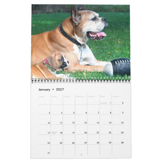 Kalender der Boxer-Welpen-2012 (Jan 2027)