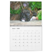 Kalender der Boxer-Welpen-2012 (Mär 2027)