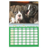 Kalender der Boxer-Welpen-2012 (Mär 2027)