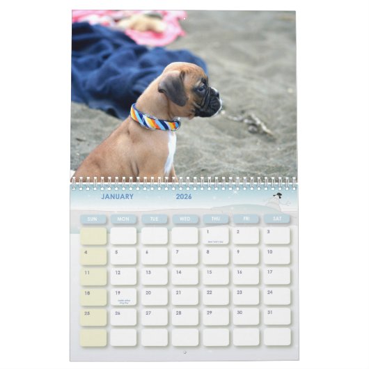 Kalender der Boxer-Welpen-2012 (Jan 2026)