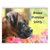 Kalender der Boxer-Welpen-2013 (Titelbild)