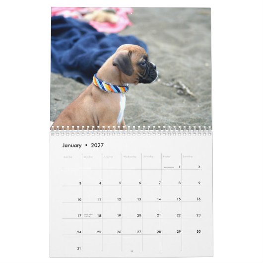 Kalender der Boxer-Welpen-2013 (Jan 2027)