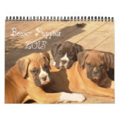 Kalender der Boxer-Welpen-2015 (Titelbild)