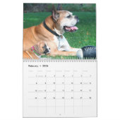 Kalender der Boxer-Welpen-2019 (Feb 2026)