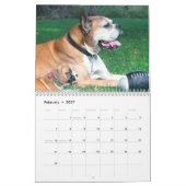 Kalender der Boxer-Welpen-2019 (Feb 2027)