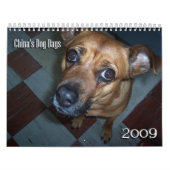 Kalender der China der Hundetag2009 (Titelbild)