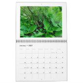 Kalender - Der Coole, grüne Wald (Jan 2027)