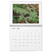 Kalender - Der Coole, grüne Wald (Mär 2027)