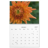 Kalender der Dahlie-2010 (Jan 2027)