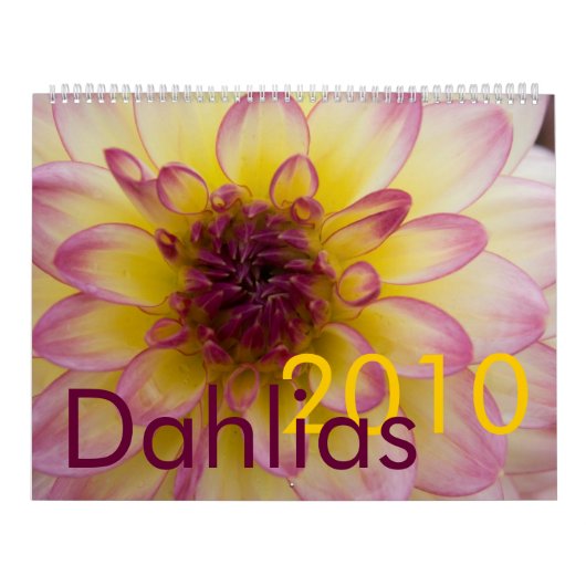 Kalender der Dahlie-2010 (Titelbild)