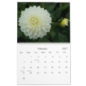 Kalender der Dahlie-2010 (Feb 2027)