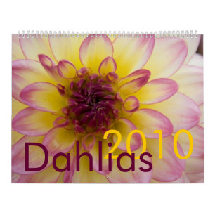 Kalender der Dahlie-2010