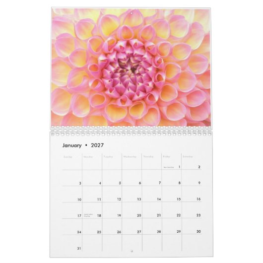 Kalender der Dahlie-2011 (Jan 2027)