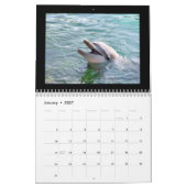 Kalender der Delphin-2010 (Jan 2027)