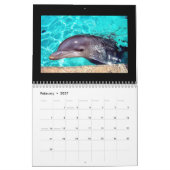 Kalender der Delphin-2010 (Feb 2027)
