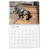 Kalender der doppelten Dackel (Mär 2026)