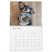 Kalender der doppelten Dackel (Jan 2027)