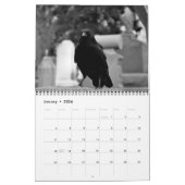 Kalender der dunklen Krähen 2024 (Jan 2026)