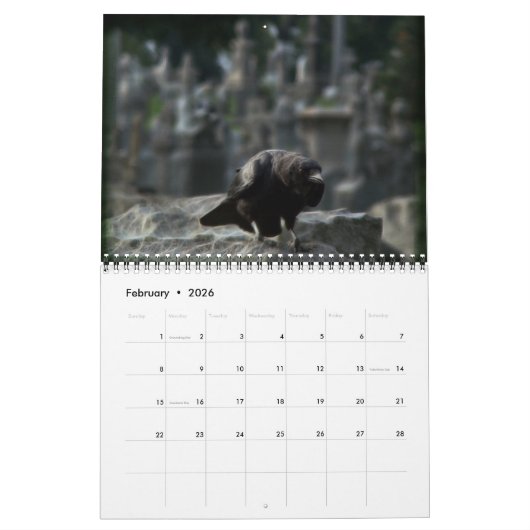 Kalender der dunklen Krähen 2024 (Feb 2026)