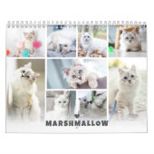 Kalender der Fotocollage für Katzen (Titelbild)