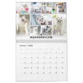 Kalender der Fotocollage für Katzen (Jan 2026)