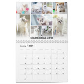 Kalender der Fotocollage für Katzen (Jan 2027)