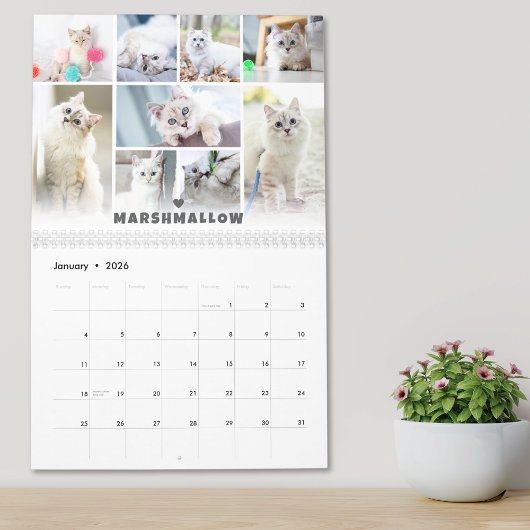 Kalender der Fotocollage für Katzen