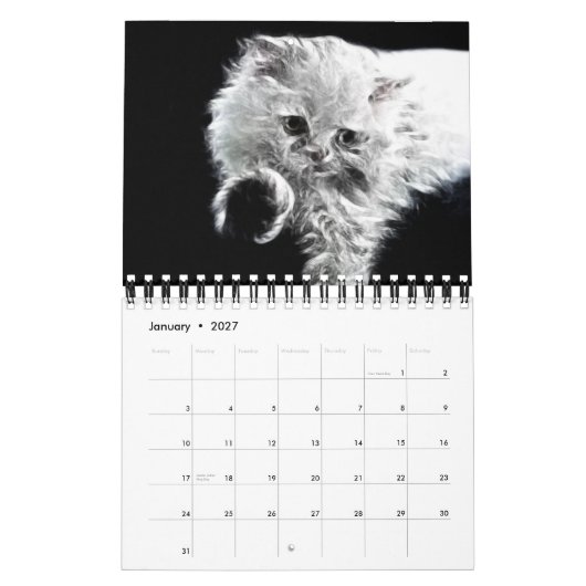 Kalender der Fraktal-Tierporträt-2012 (Jan 2027)