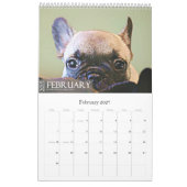 KALENDER DER FRANZÖSISCHEN BULLDOGGEN-2015 (Feb 2027)