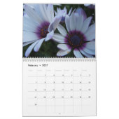 Kalender der Gänseblümchen 2016 (Feb 2027)