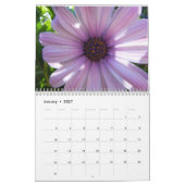 Kalender der Gänseblümchen 2016 (Jan 2027)