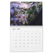 Kalender der Gänseblümchen 2016 (Mär 2027)