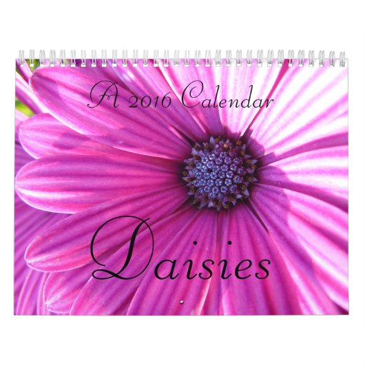 Kalender der Gänseblümchen 2016 (Titelbild)