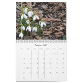 Kalender der Garten-Blumen-2017 (Jan 2027)