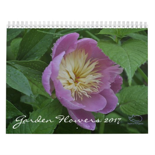 Kalender der Garten-Blumen-2017 (Titelbild)